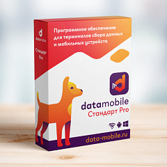 ПО DataMobile, версия Стандарт Pro в Великом Новгороде