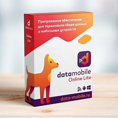 ПО DataMobile, версия Online Lite в Великом Новгороде